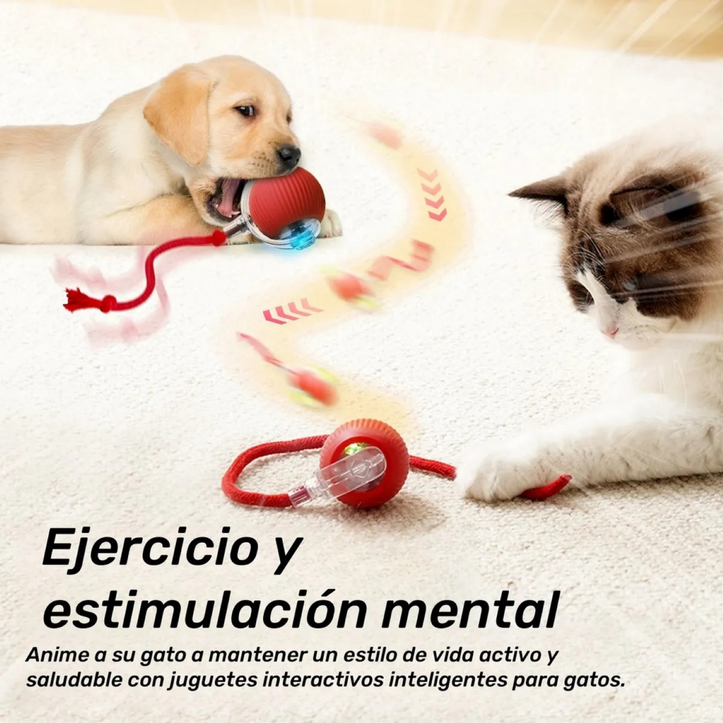 Juguete Pelota Recargable Para Mascota